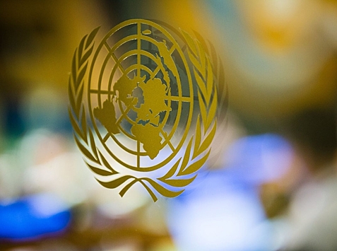 На Украине зарегистрировали постановление с призывом исключить Россию из ООН