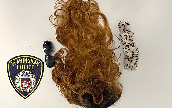 Убийца попался из-за упавшего парика