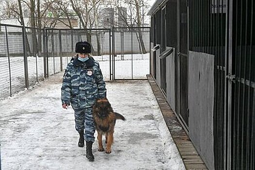 В Петропавловске-Камчатском эвакуировали все школы из-за сообщения о минировании