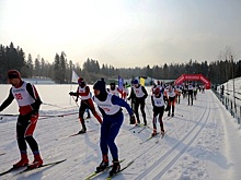 На лыжный масс-старт в Зеленограде вышли более трехсот участников