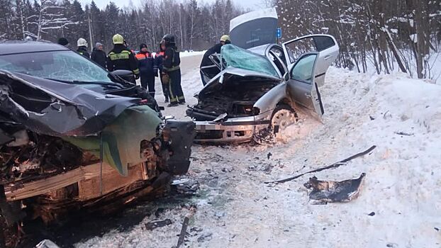 Стали известны подробности смертельной аварии в Костромском районе