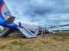 Омичам из самолета, аварийно севшего в поле, рассказали, как получить 100 тысяч рублей