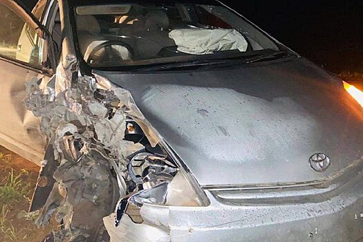 Житель Иркутской области попытался объехать лошадь и попал в ДТП