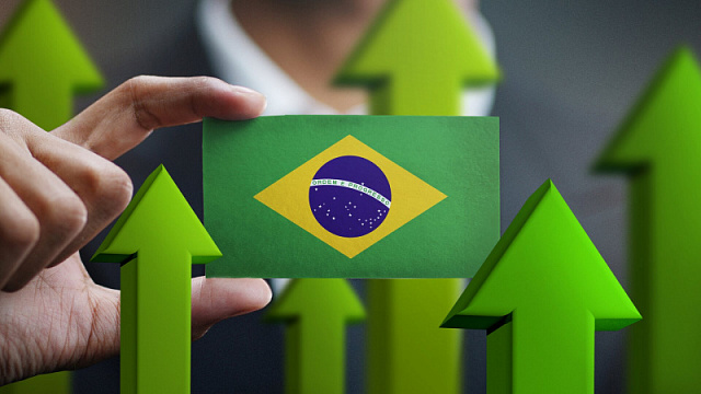 В Бразилии создан комитет для реализации программы устойчивого финансирования