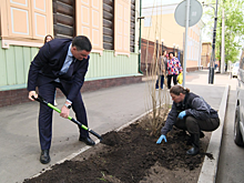 Мэр Иркутска Руслан Болотов принял участие в высадке новых тополей на улице Горького