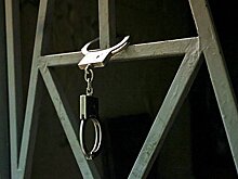 Суд в Армении продлил арест бизнесмена Самвела Карапетяна