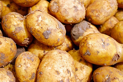 Китайцы поставили во Владивосток 23 тонны гнилой картошки