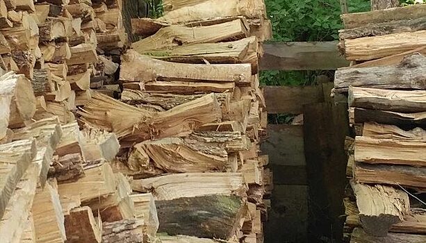 На фото есть кот, но понять, где он, могут немногие, ведь большинство сдается уже спустя пару минут просмотра