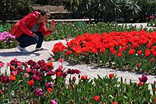 В Крыму временно закрыт Никитский ботанический сад