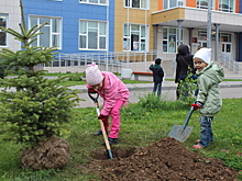 Новый парк на берегу канала имени Москвы в Химках откроется летом 2018 года