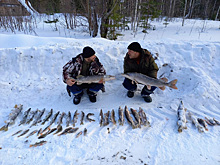 Свердловские рыбаки выловили двух щук весом 4 и 6 килограммов