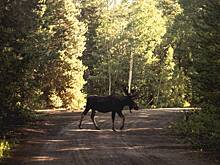 Водителей призывают быть осторожными на дорогах Калужской области