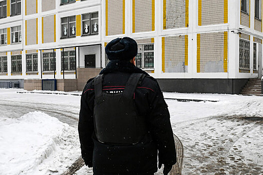 Эксперты считают, что "лжеминирования" в России являются вмешательством извне