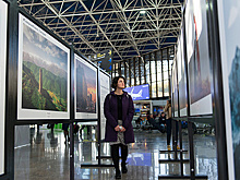 В аэропорту Сочи открылась фотовыставка
