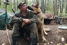 Четвероногий герой: В Коми поставят памятник собаке-воину