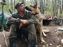 Четвероногий герой: В Коми поставят памятник собаке-воину