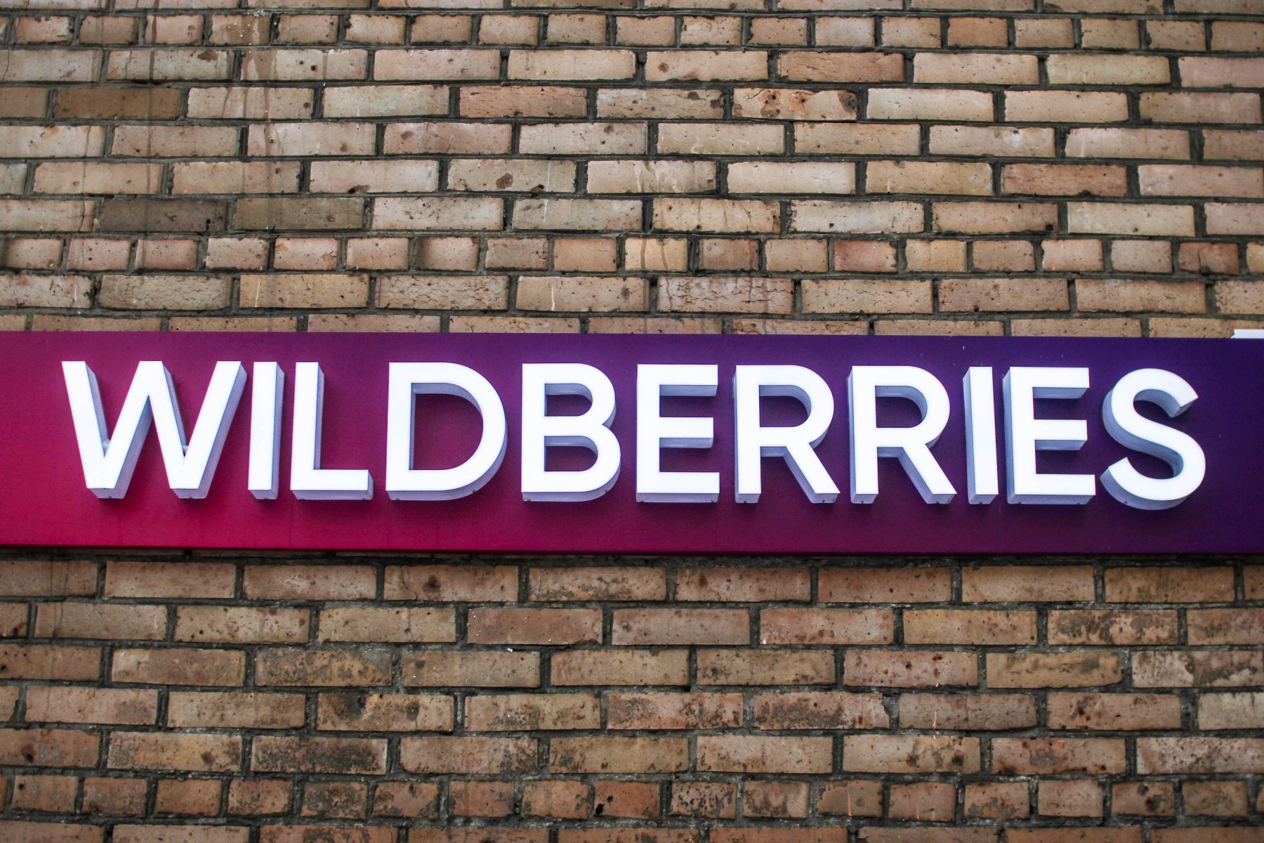 В Подмосковье может появиться памятник владелице Wildberries Бакальчук