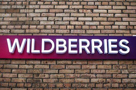 В Подмосковье может появиться памятник владелице Wildberries Бакальчук