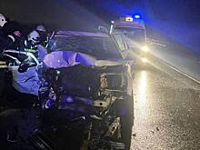 Пять человек пострадали в ДТП с вылетевшим на встречку BMW под Петербургом