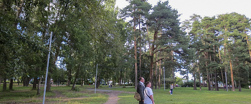 Зеленый код города разработают в Ижевске