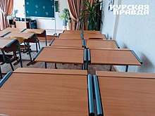 В Курской области более 1,3 тыс. школьников начнут учебный год в дистанционном формате
