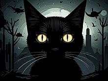 Выжившую после падения из «Ласточкиного гнезда» кошку Мусю не вернут к туристам