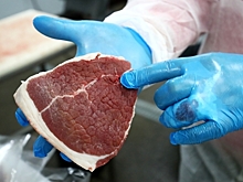 У челябинского экспортера мяса в Катар и Саудовскую Аравию нашли сальмонеллу