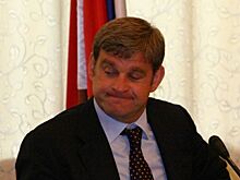 Дарькин потерял земли