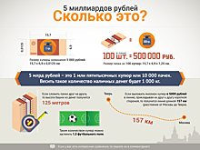 Инфографика. Что такое 5 млрд рублей?