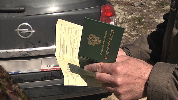 На Ямале открыли сезон охоты на выдру и песца