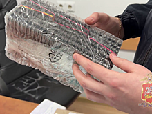 В Подмосковье полиция выявила аптеку, где продажа сильнодействующих препаратов велась без рецептов