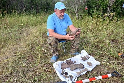 В Якутии обнаружены останки уникальных древних животных
