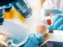 Врач-инфекционист перечислил самые опасные летние инфекции