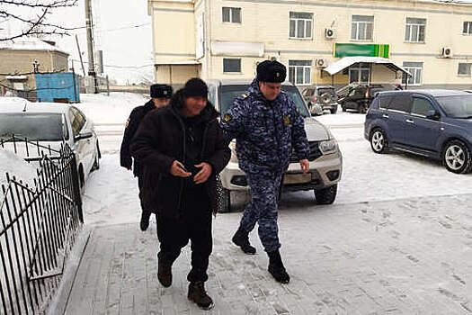 Сибиряяк спрятался от приставов в стоге сена, но чихнул и попался