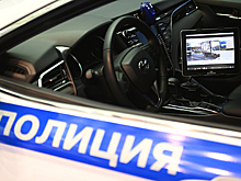 Полицейские в российском регионе получат почти 100 новых автомобилей