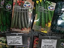 Большой куш и Черная магия: инспекторы нашли в Кузбассе подозрительные растения