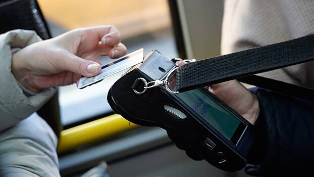 Мишонова: Таскавшему ребенка «за шкирку» контролеру сделали выговор