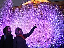 Россияне высказались об отмене новогодних каникул