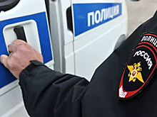 Красноярская полиция проверит приют для животных «Империя успеха»