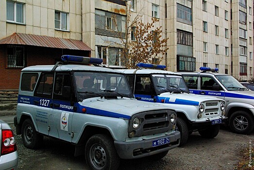 В Челябинске трое мужчин похитили девушку на глазах у соседей