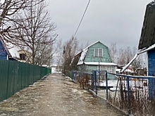 Дачи ушли под воду? Ярославцы напуганы громкими заголовками