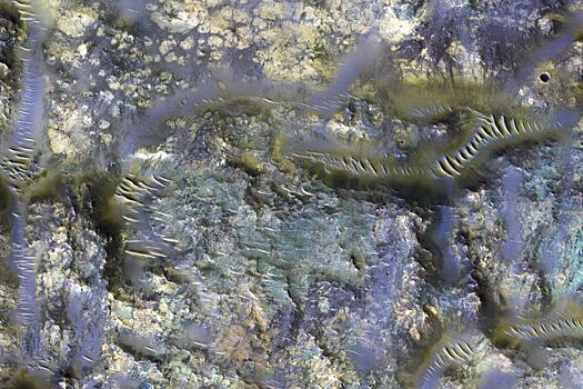 NASA опубликовало фото кратеров-"червей" на Марсе