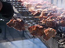 Запрет на дым от шашлыков в Челябинске высмеяли на радио