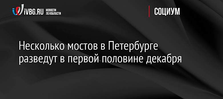 В Петербурге завершился сезон разводки мостов