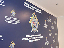 В Сибирском транспортном СК заявили, что действовали законно при инциденте с Навальным