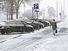 В Госдуме предложили отменить плату за парковку в новогодние праздники