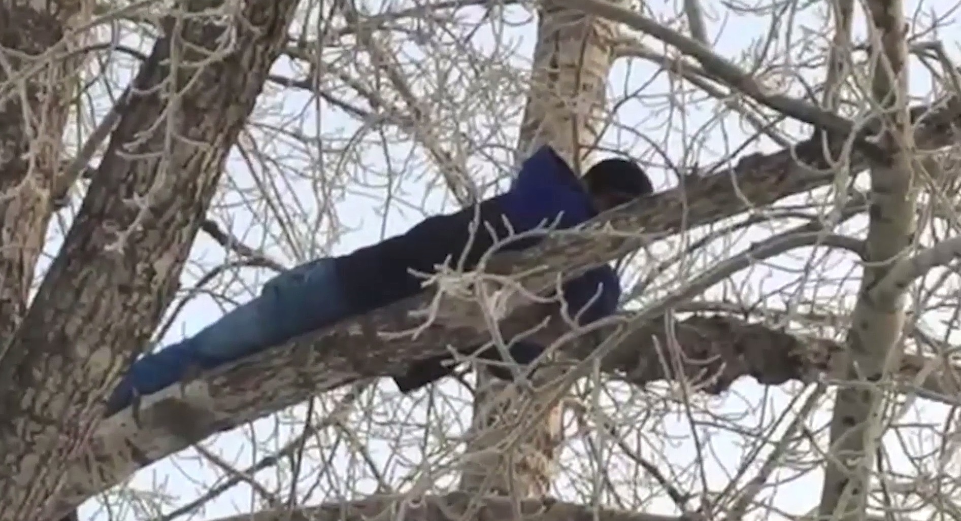 В Омске полицейские задержали подозреваемого в