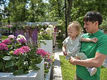 В ЗелАО летние кафе оформят живыми цветами в рамках проведения фестиваля «Лето в Москве»