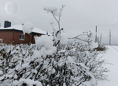 Небольшой снег прогнозируют в Удмуртии днём 5 февраля