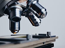   Категории тестируемых на коронавирус расширили в Удмуртии  